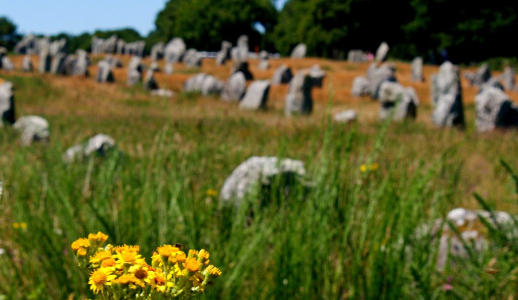 carnac stones